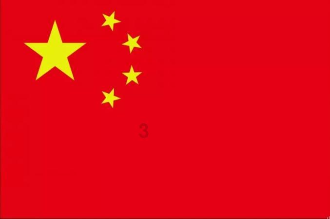 学习插花艺术