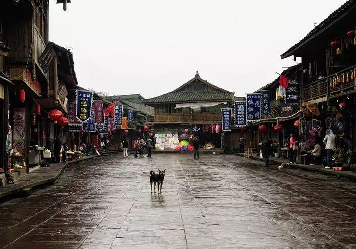公主和美人鱼